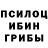 Галлюциногенные грибы мухоморы Maxeus