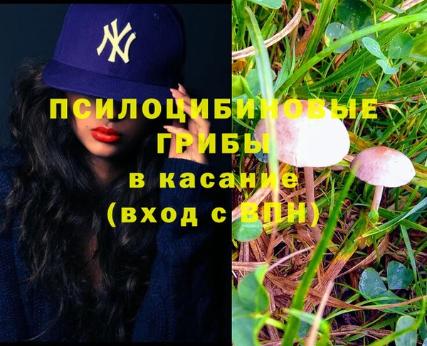 соль ск Белоозёрский