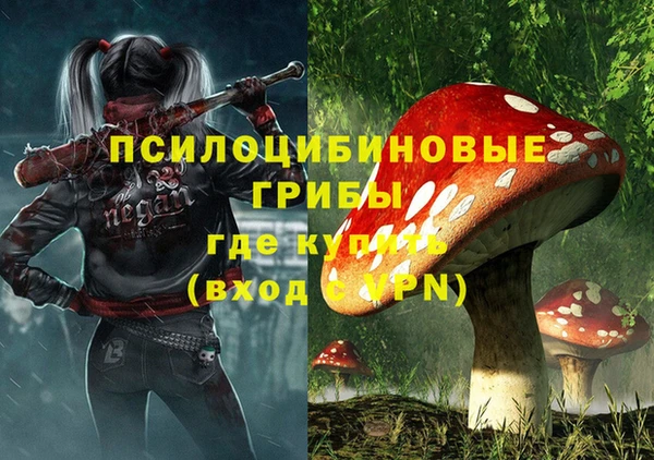 гидра Баксан